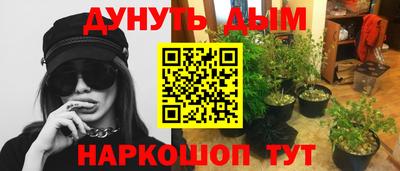 гашик Будённовск