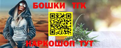 гашик Будённовск