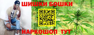 гашик Будённовск