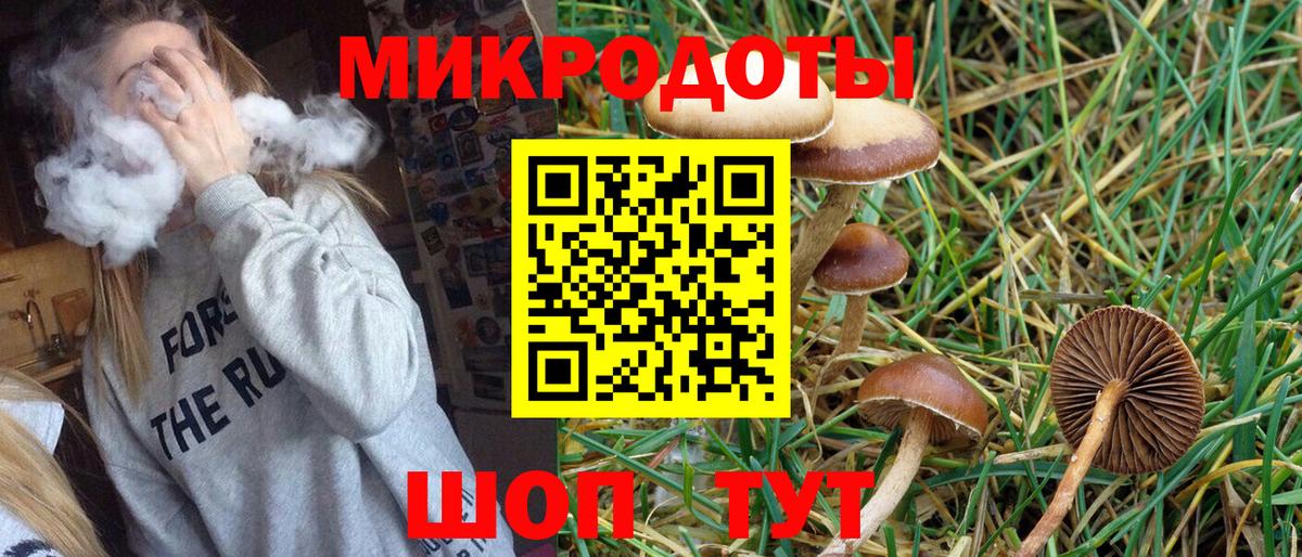 Менделеевск  Псилоцибиновые грибы мухоморы  Вход с VPN 