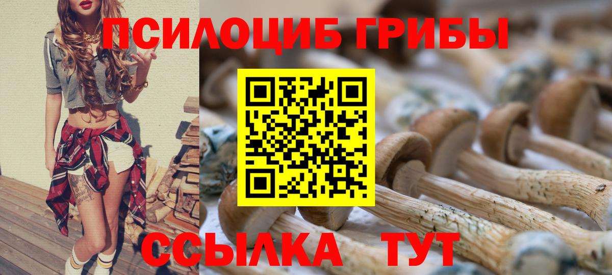 Галлюциногенные грибы GOLDEN TEACHER Менделеевск