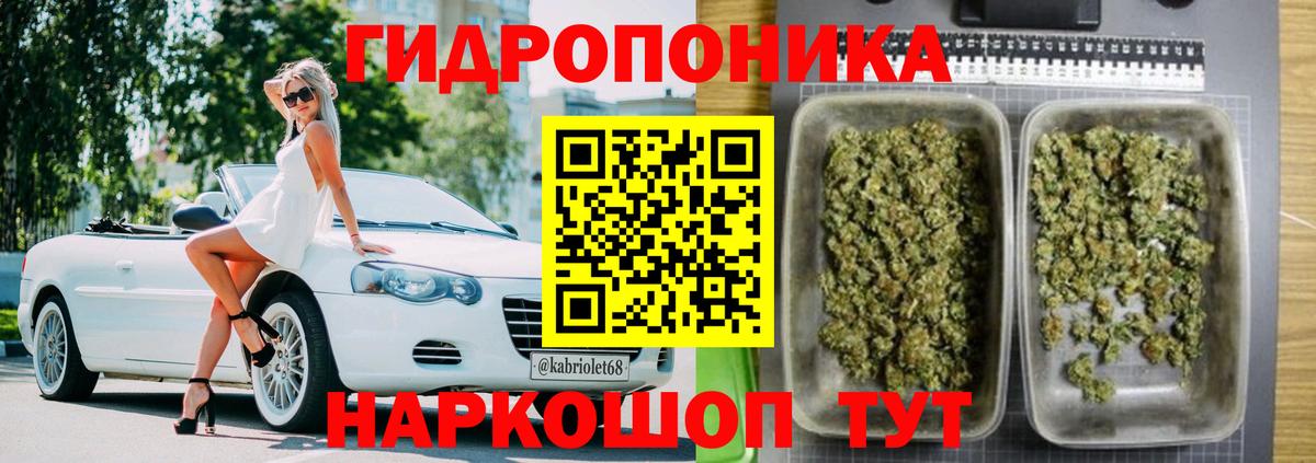 Бошки Шишки планчик Менделеевск